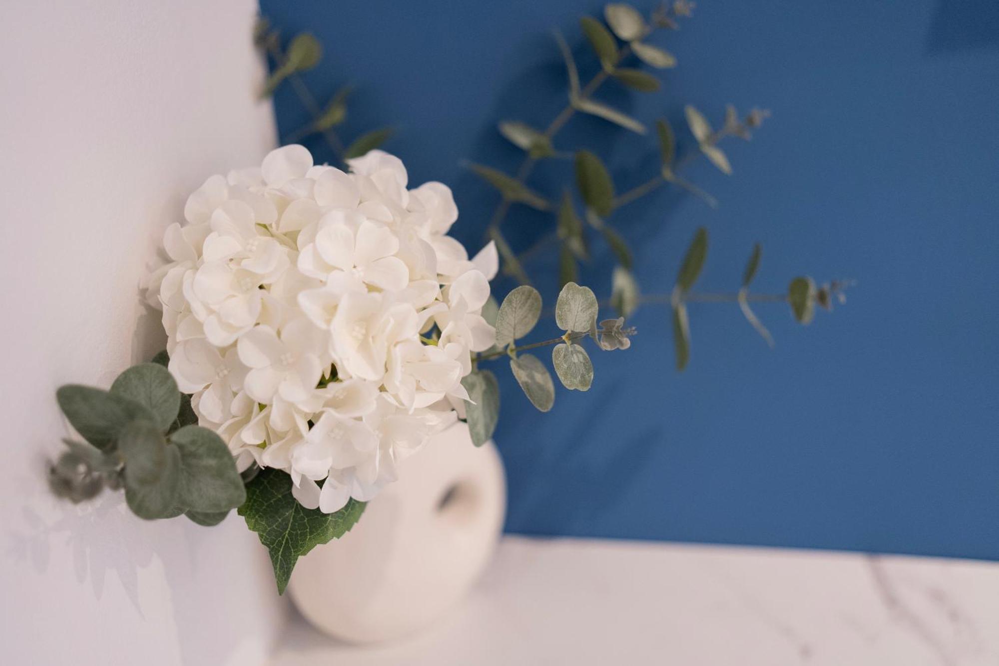 מוסטר Regent Blue Apartments - Free Private Parking מראה חיצוני תמונה